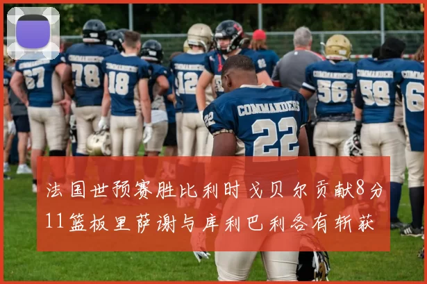法国世预赛胜比利时戈贝尔贡献8分11篮板里萨谢与库利巴利各有斩获