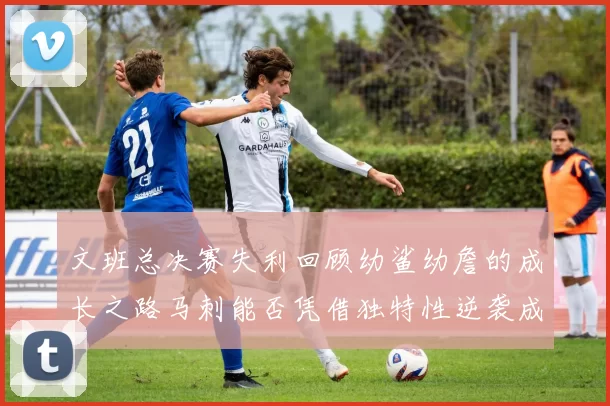 文班总决赛失利回顾幼鲨幼詹的成长之路马刺能否凭借独特性逆袭成功