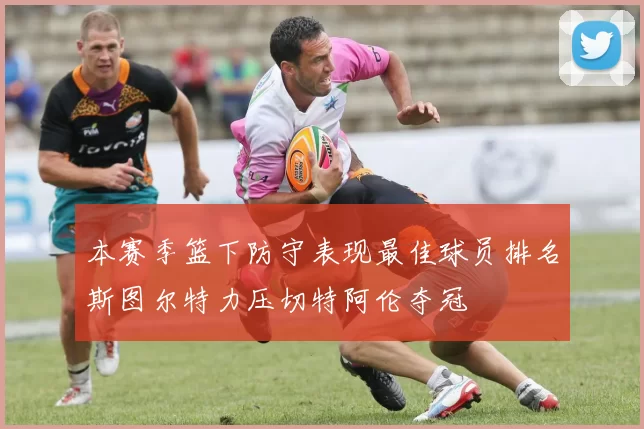 本赛季篮下防守表现最佳球员排名斯图尔特力压切特阿伦夺冠